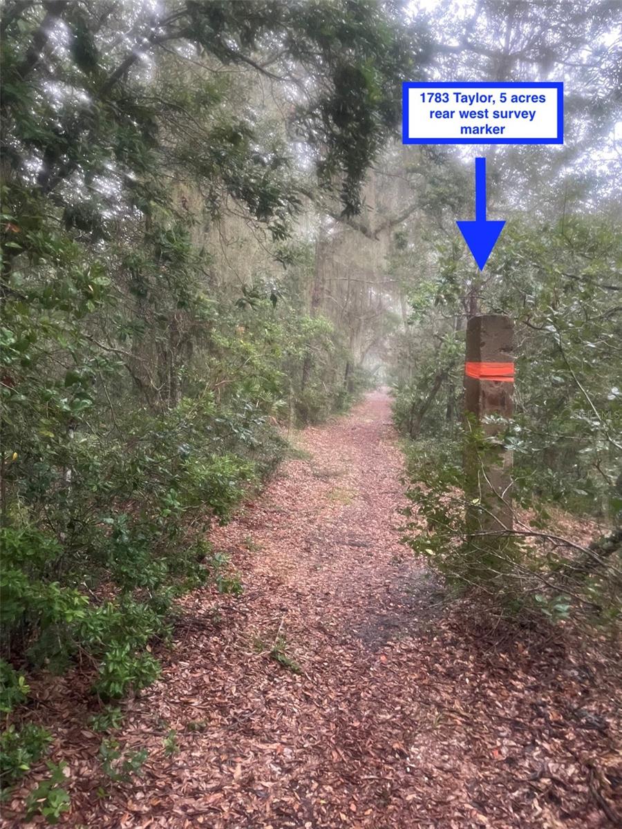 1783 TAYLOR RD, PORT ORANGE, FL, 32128