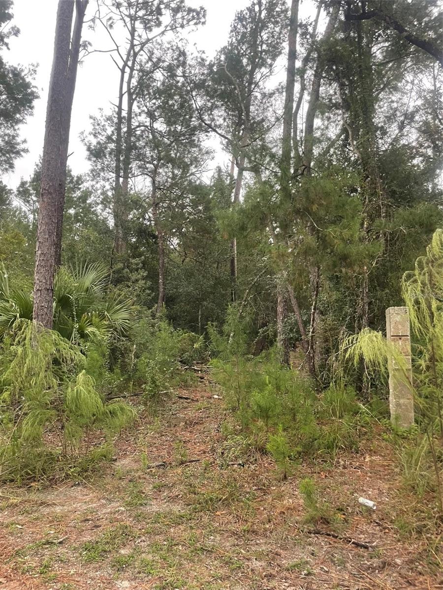 1783 TAYLOR RD, PORT ORANGE, FL, 32128