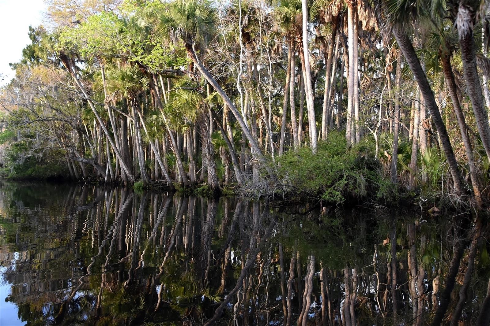 1783 TAYLOR RD, PORT ORANGE, FL, 32128