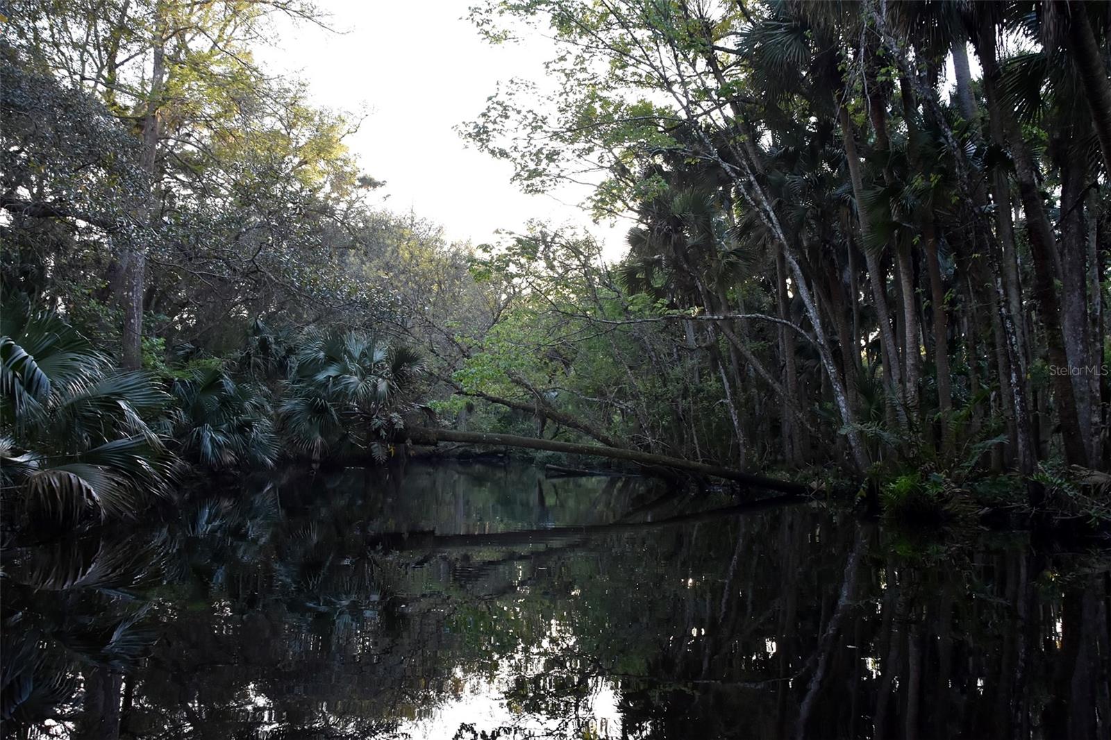 1783 TAYLOR RD, PORT ORANGE, FL, 32128