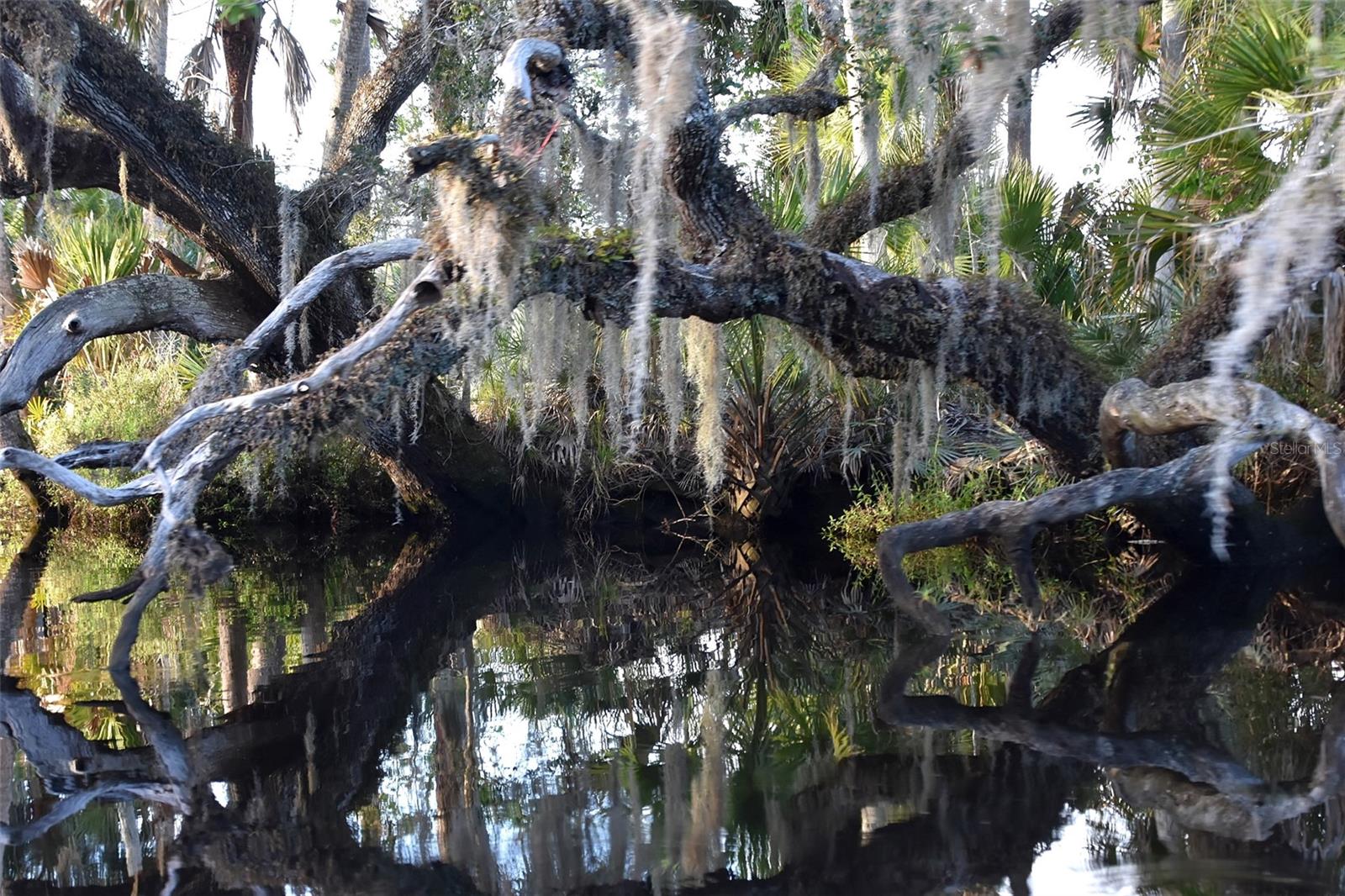 1783 TAYLOR RD, PORT ORANGE, FL, 32128