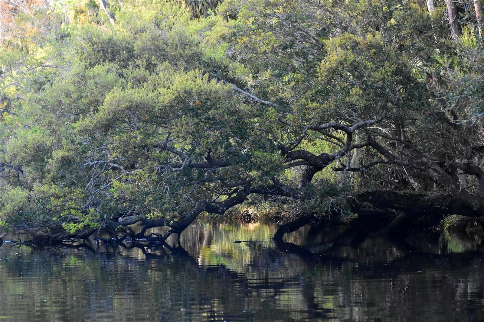 1783 TAYLOR RD, PORT ORANGE, FL, 32128