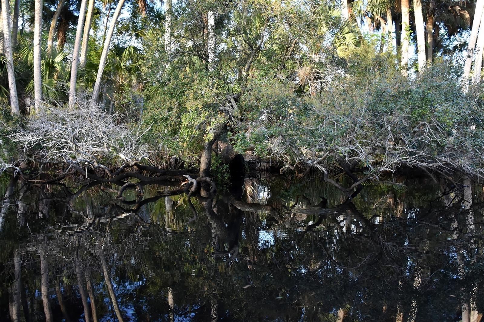 1783 TAYLOR RD, PORT ORANGE, FL, 32128