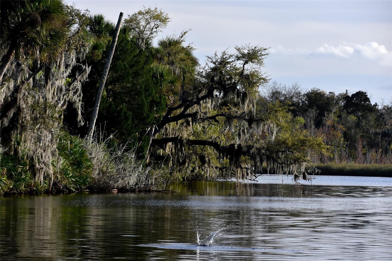 1783 TAYLOR RD, PORT ORANGE, FL, 32128