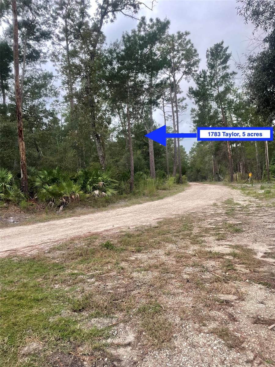 1783 TAYLOR RD, PORT ORANGE, FL, 32128