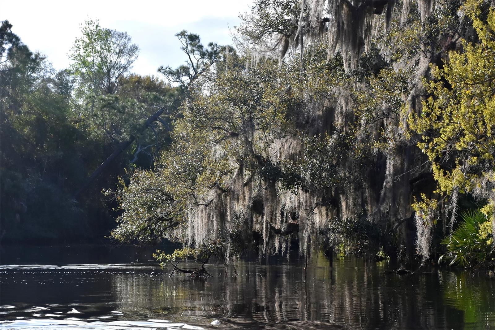 1783 TAYLOR RD, PORT ORANGE, FL, 32128