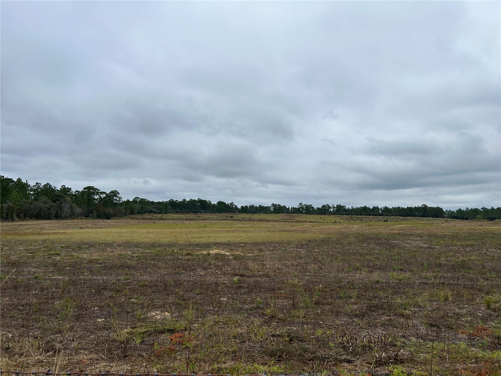 14231 SE 80TH ST, MORRISTON, FL, 32668