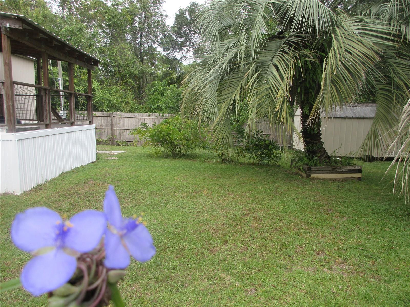 5515 SE 182ND TER, OCKLAWAHA, FL, 32179