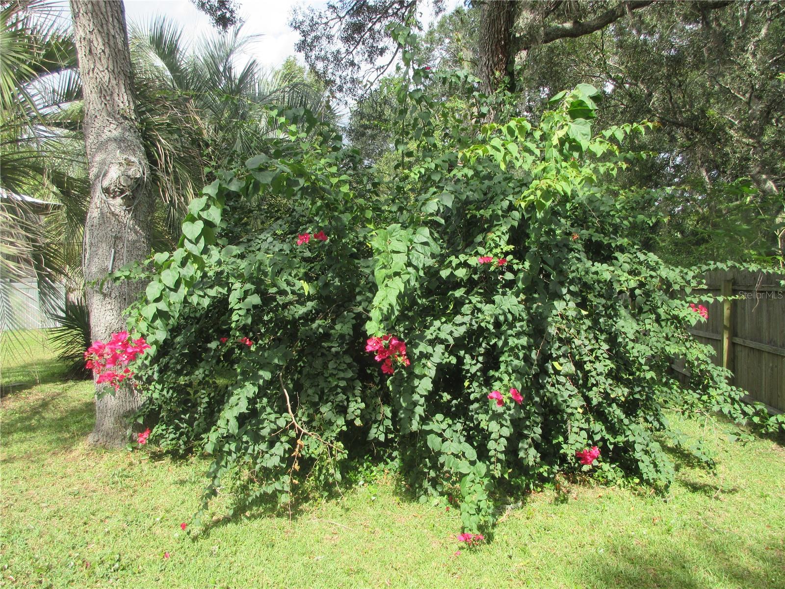 5515 SE 182ND TER, OCKLAWAHA, FL, 32179