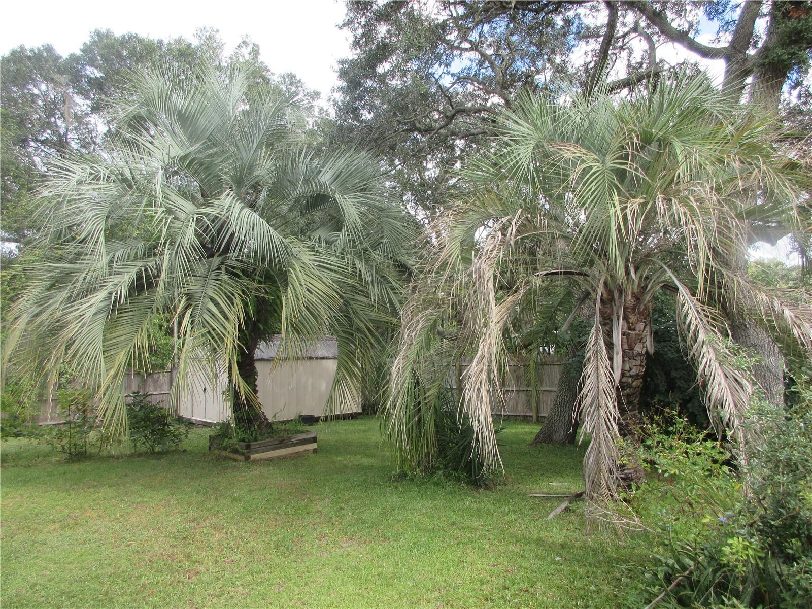 5515 SE 182ND TER, OCKLAWAHA, FL, 32179