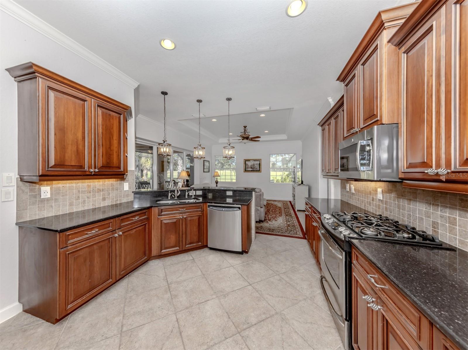 262 MONTELLUNA DR, NORTH VENICE, FL, 34275