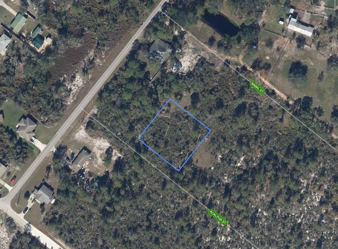 1306 ACALPHA ST, LAKE PLACID, FL, 33852