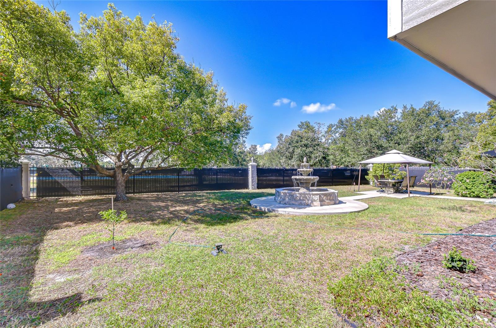 3805 BELL GRANDE DR, VALRICO, FL, 33596