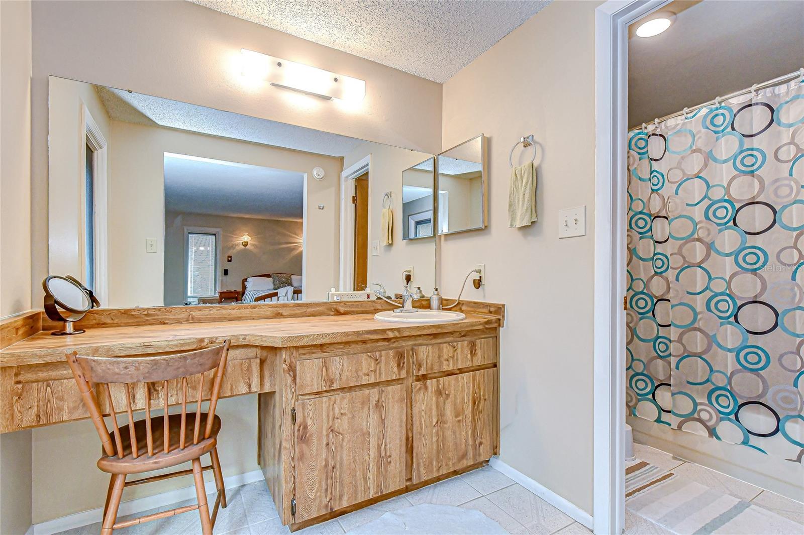 3805 BELL GRANDE DR, VALRICO, FL, 33596