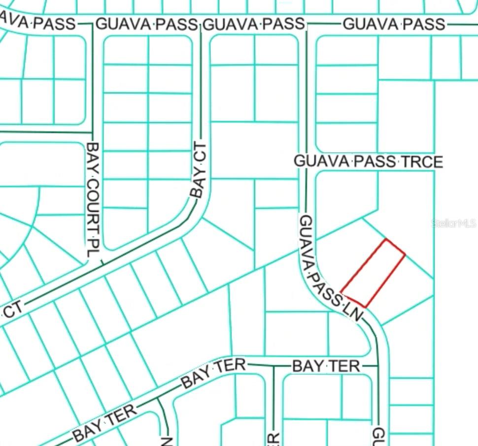 19 GUAVA PASS LN, OCKLAWAHA, FL, 32179