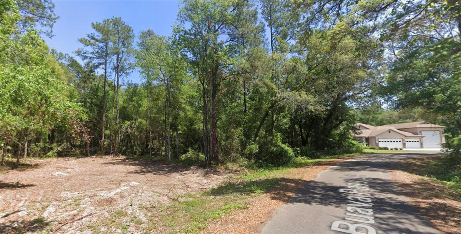 19 GUAVA PASS LN, OCKLAWAHA, FL, 32179