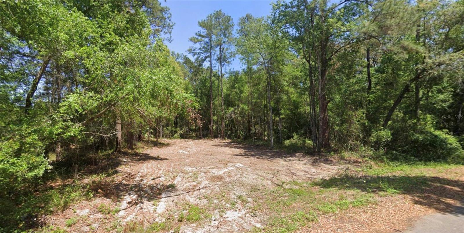 19 GUAVA PASS LN, OCKLAWAHA, FL, 32179