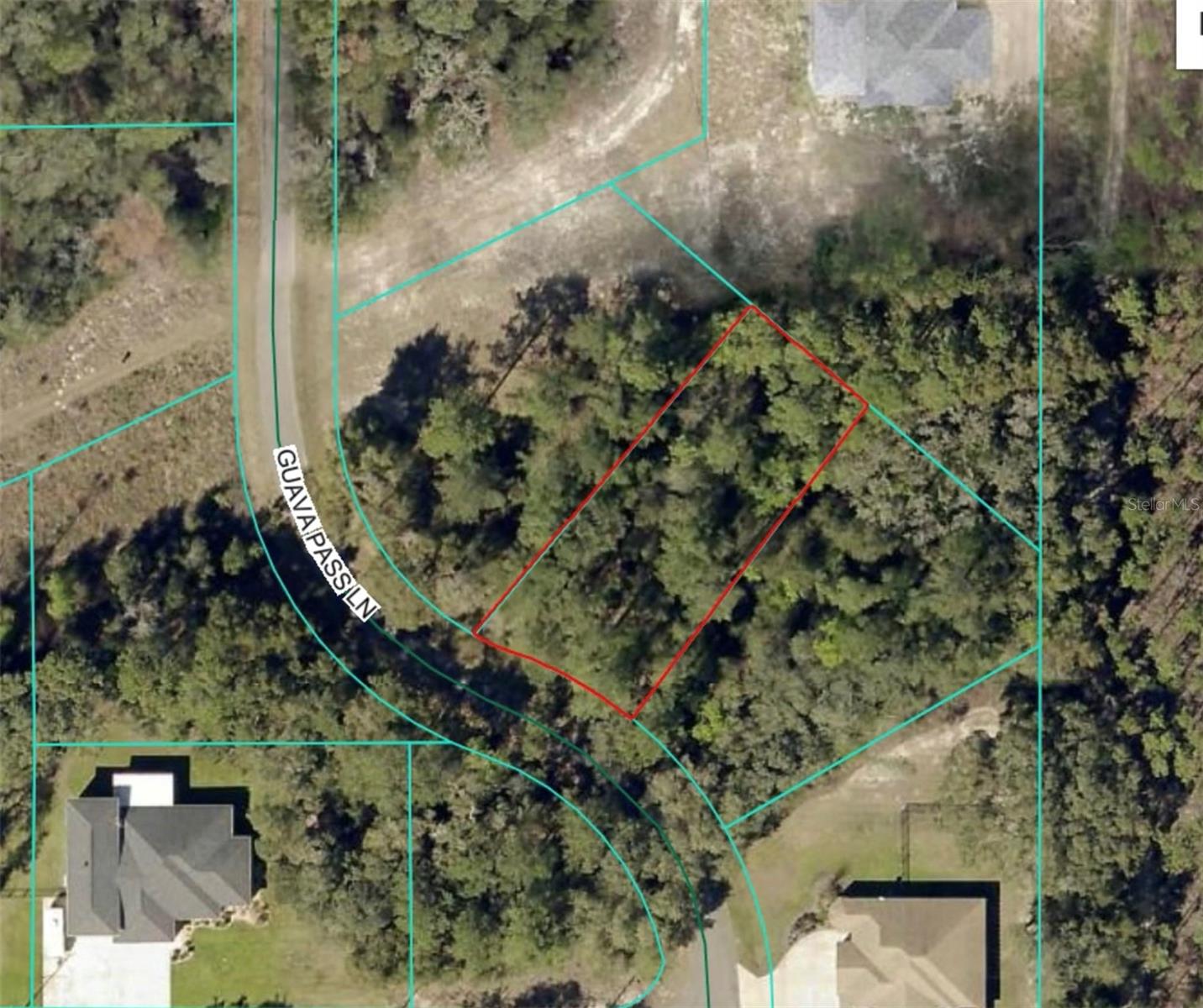 19 GUAVA PASS LN, OCKLAWAHA, FL, 32179