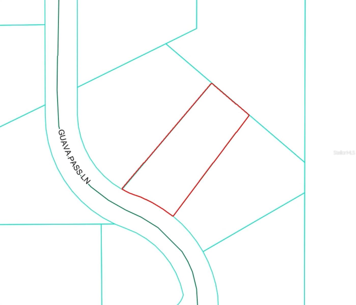 19 GUAVA PASS LN, OCKLAWAHA, FL, 32179