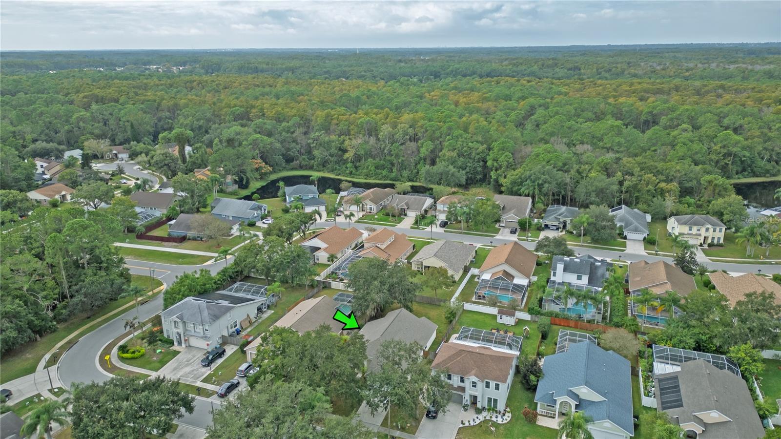 4768 RIDGEMOOR CIR, PALM HARBOR, FL, 34685