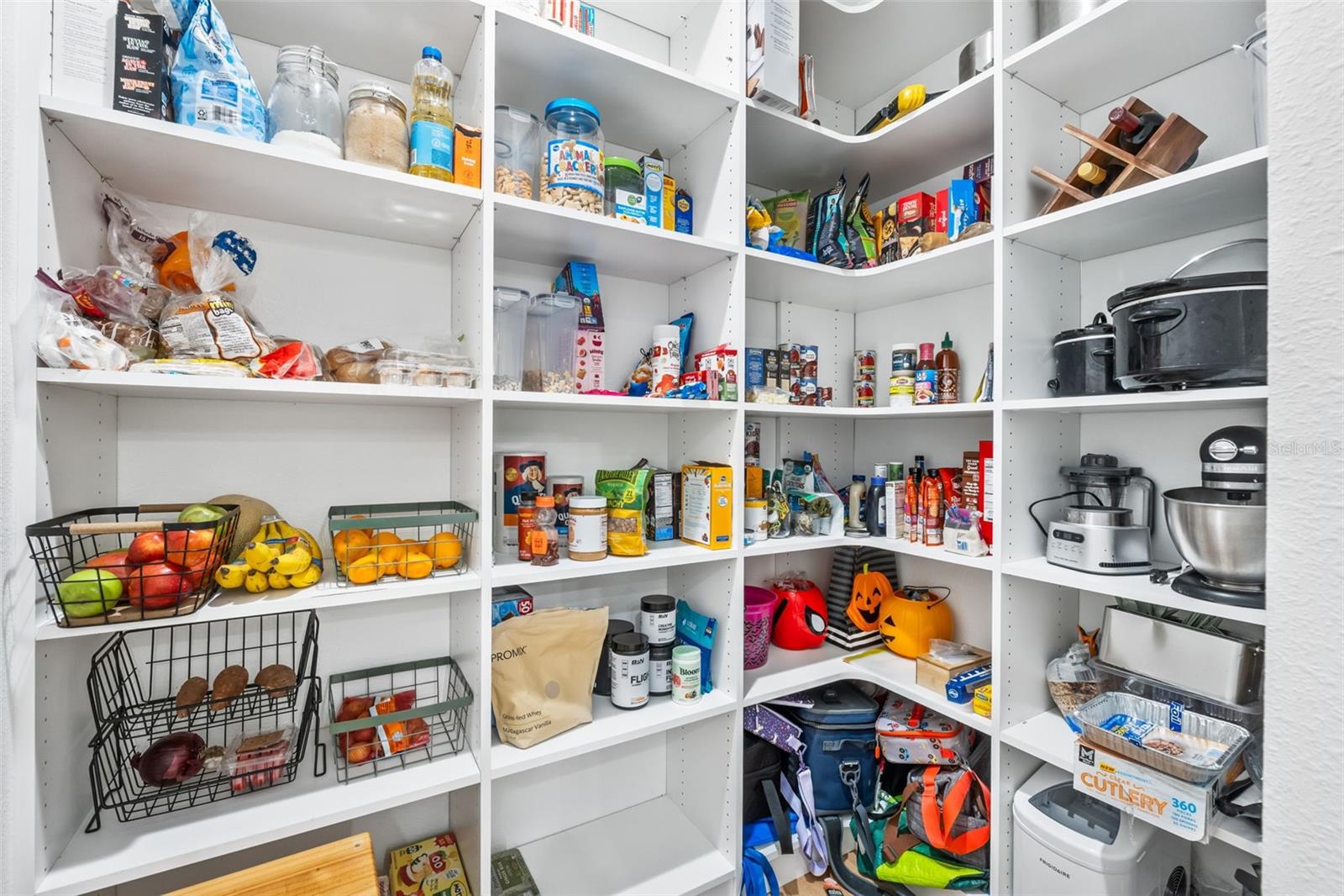 157 CALADIUM AVE, LAKE ALFRED, FL, 33850