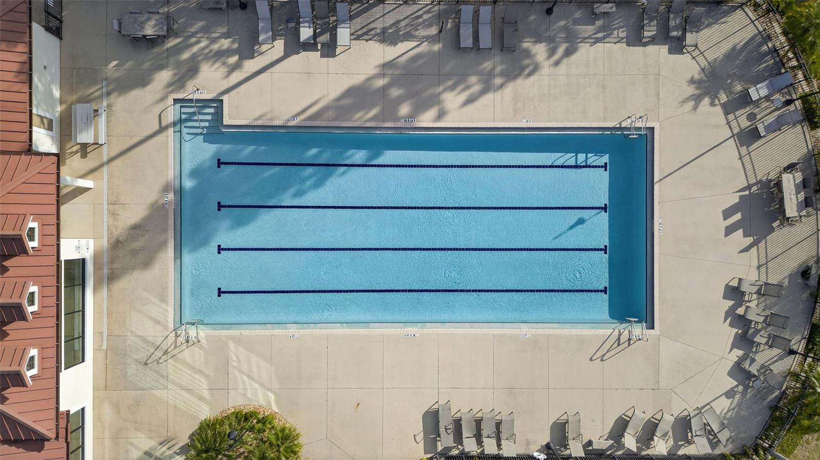 157 CALADIUM AVE, LAKE ALFRED, FL, 33850