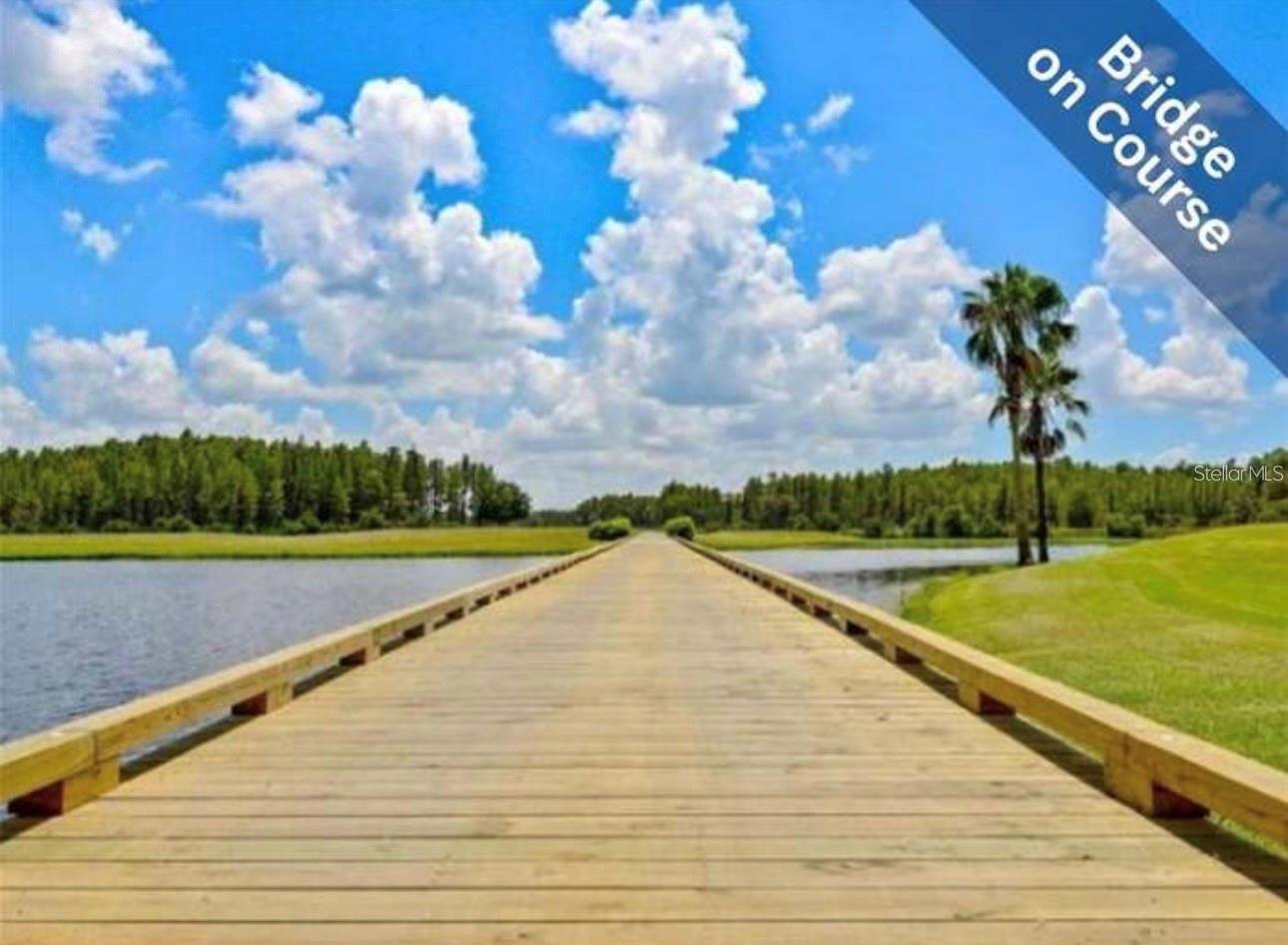 1520 CANBERLEY CT, TRINITY, FL, 34655