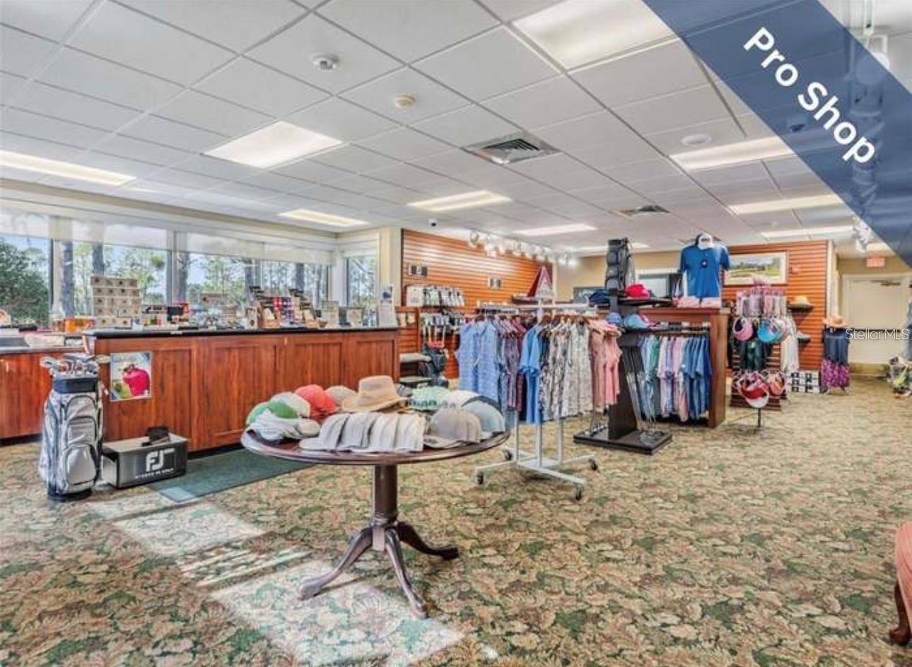 1520 CANBERLEY CT, TRINITY, FL, 34655