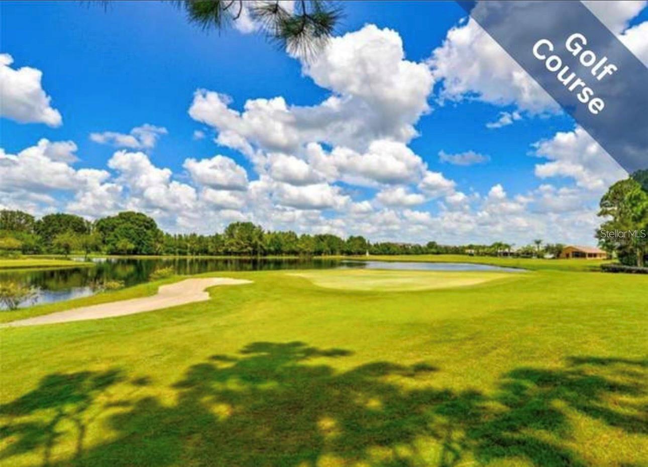 1520 CANBERLEY CT, TRINITY, FL, 34655