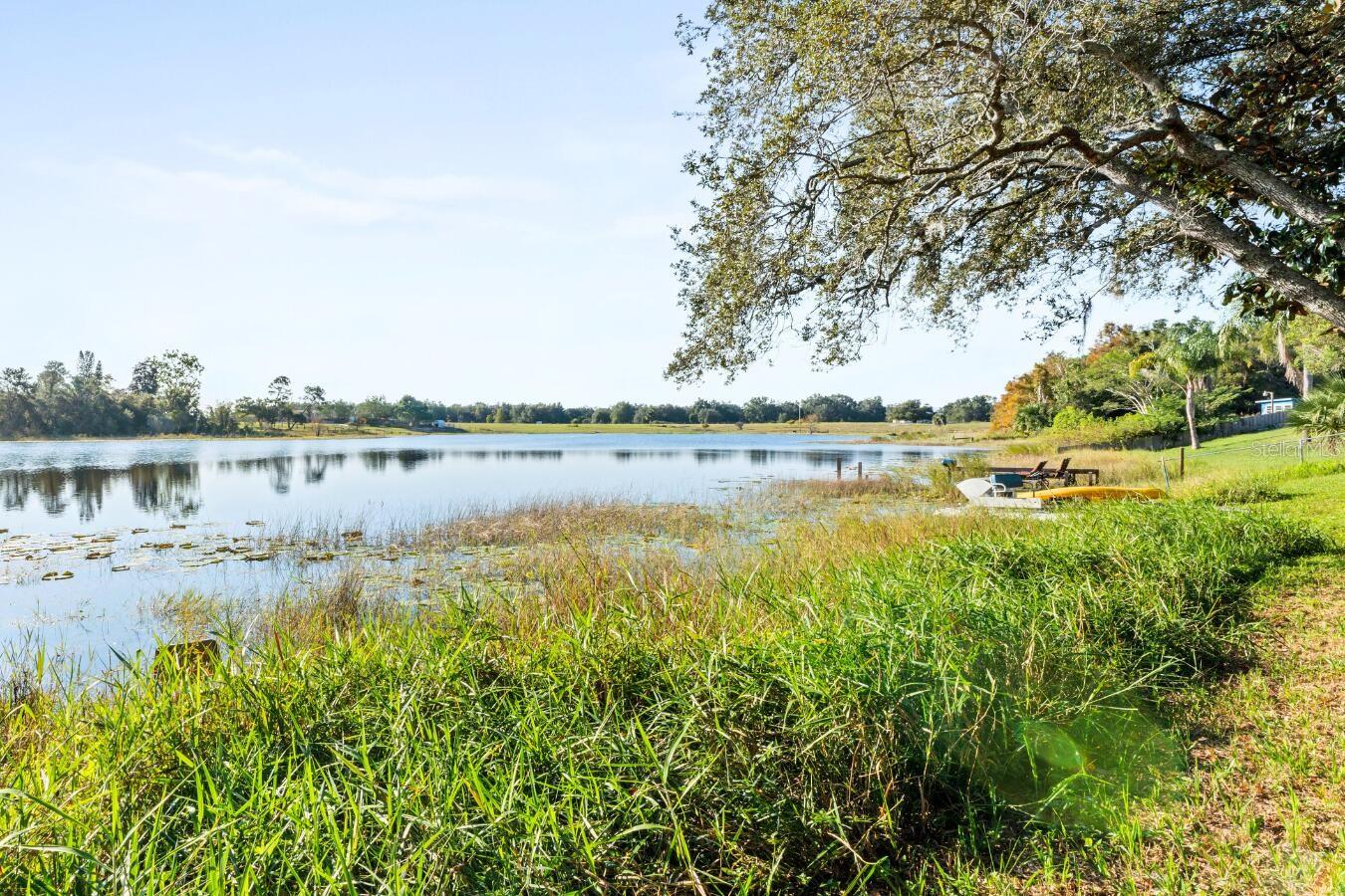 3646 ONDICH RD, APOPKA, FL, 32712