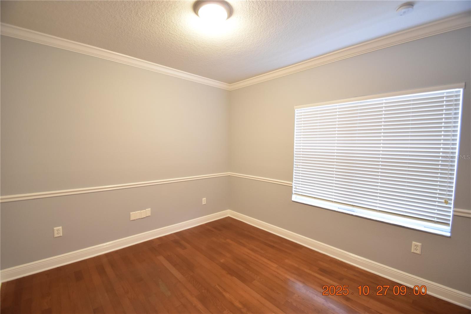 8806 CAMERON CREST DR, TAMPA, FL, 33626