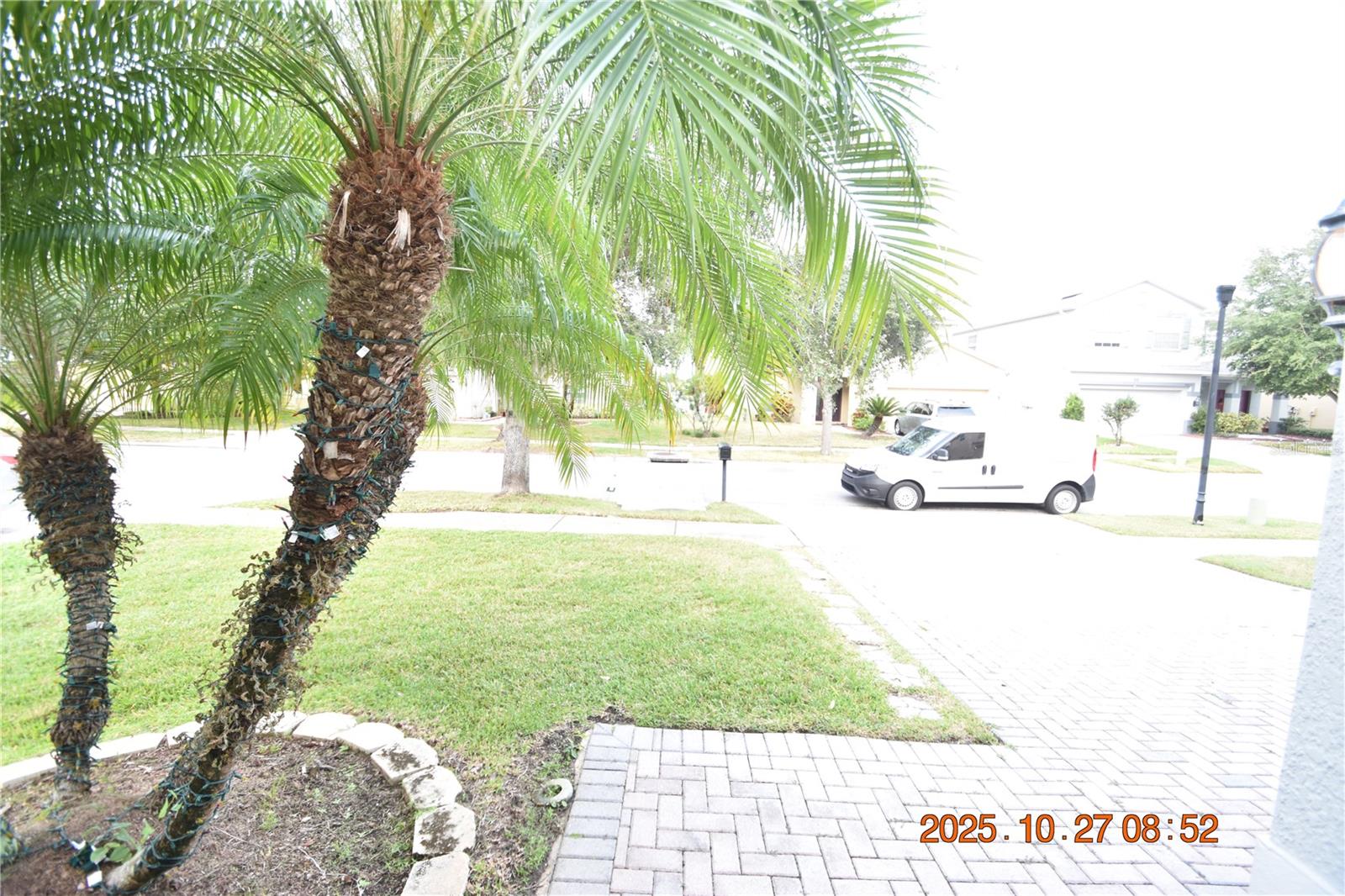 8806 CAMERON CREST DR, TAMPA, FL, 33626