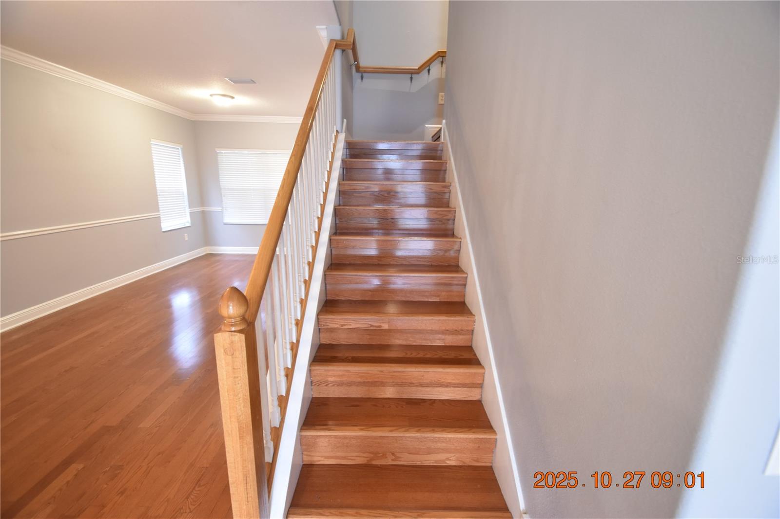 8806 CAMERON CREST DR, TAMPA, FL, 33626