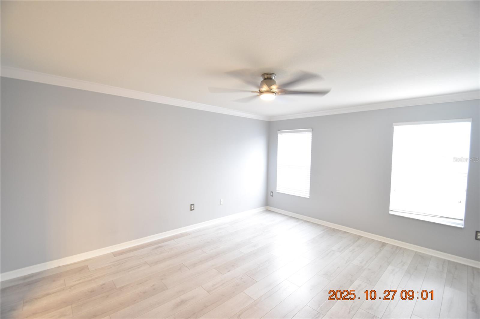 8806 CAMERON CREST DR, TAMPA, FL, 33626