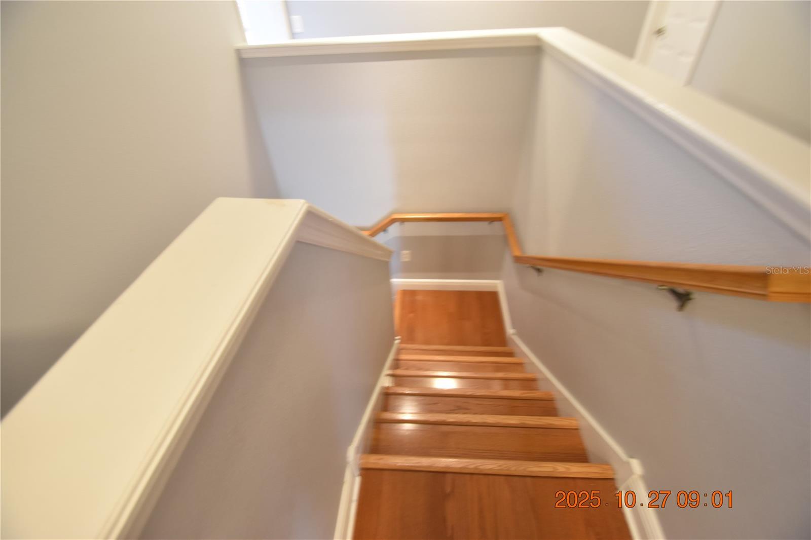 8806 CAMERON CREST DR, TAMPA, FL, 33626