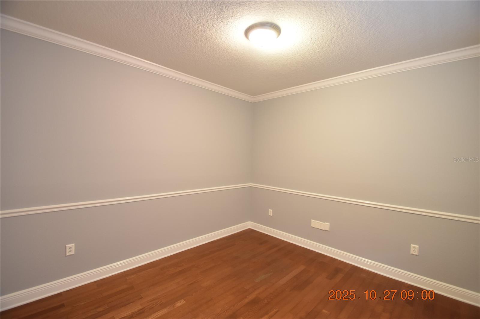 8806 CAMERON CREST DR, TAMPA, FL, 33626