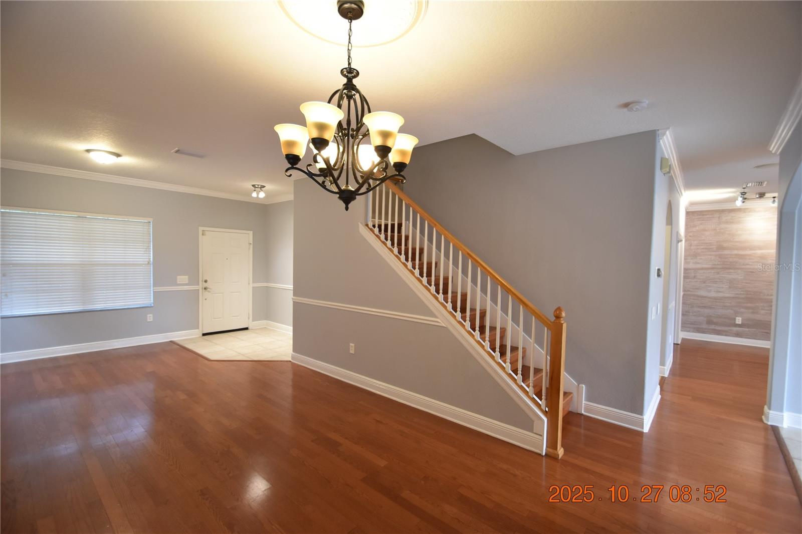 8806 CAMERON CREST DR, TAMPA, FL, 33626