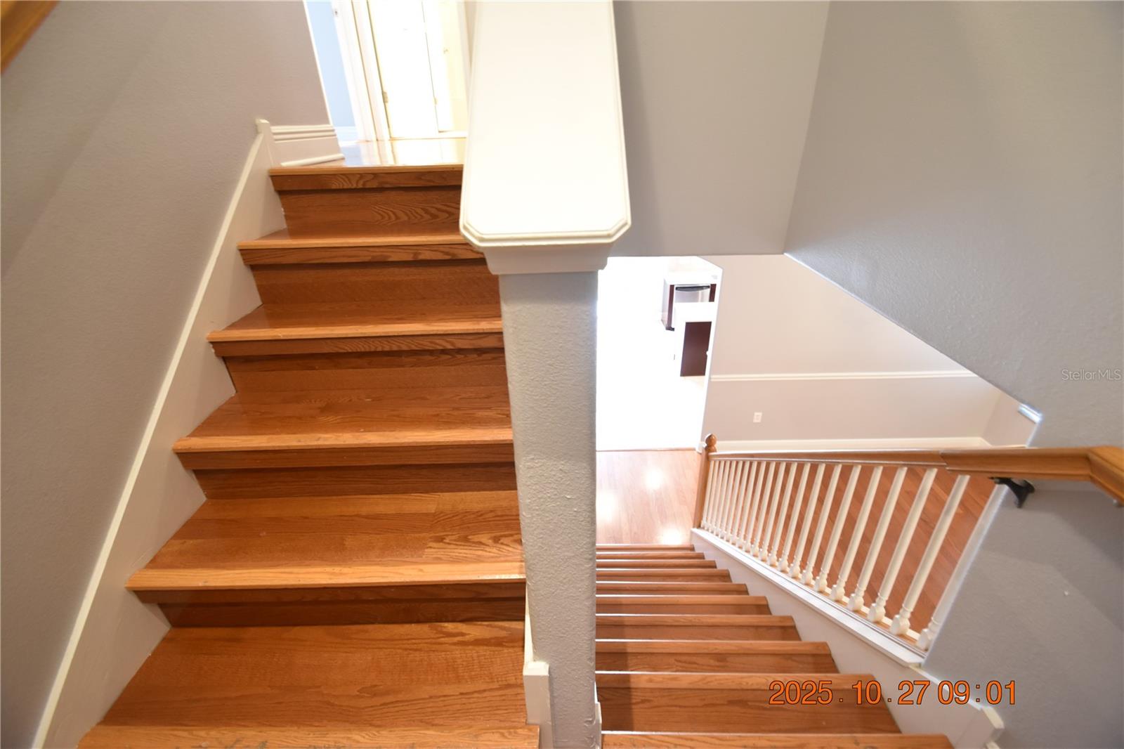 8806 CAMERON CREST DR, TAMPA, FL, 33626