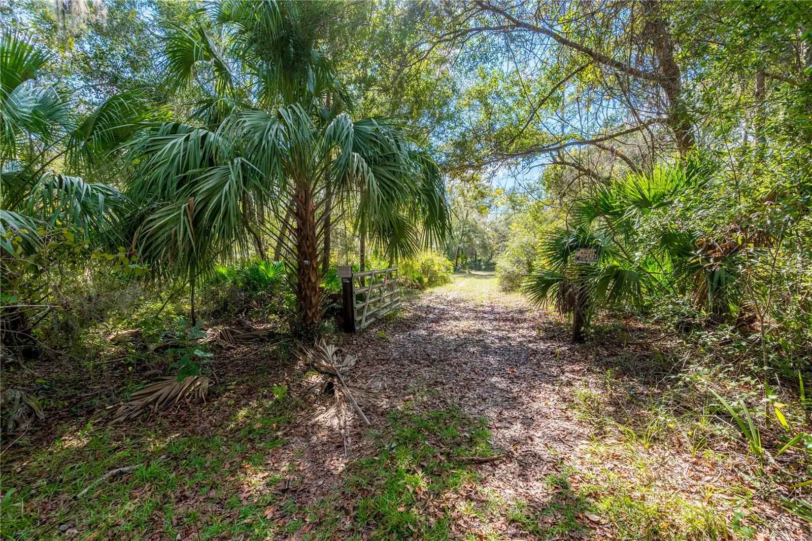 6550 SW 100TH CT, CEDAR KEY, FL, FL, 32625