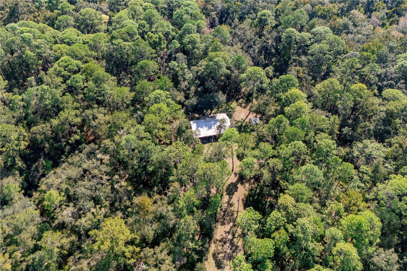 6550 SW 100TH CT, CEDAR KEY, FL, FL, 32625