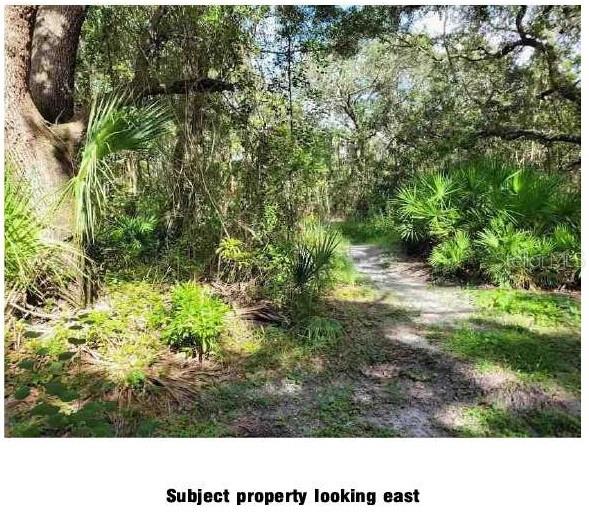 LANTANA AVE, CLEARWATER, FL, 33755