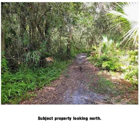 LANTANA AVE, CLEARWATER, FL, 33755