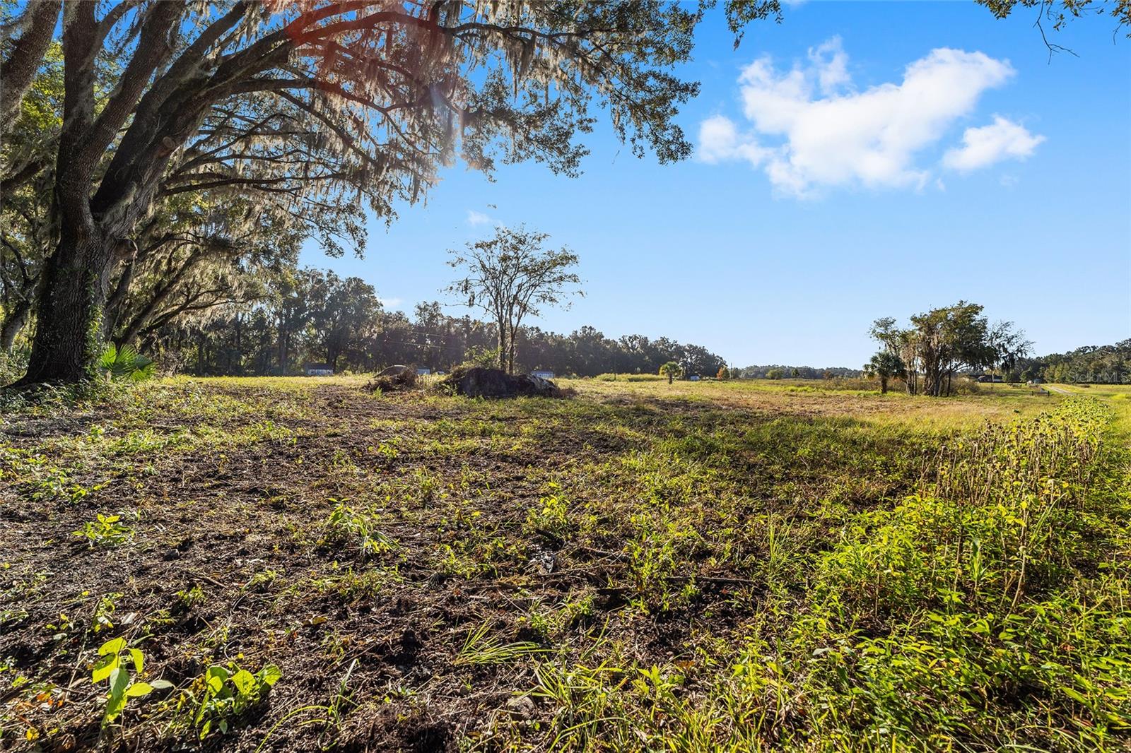 3623 CR 526, SUMTERVILLE, FL, 33585