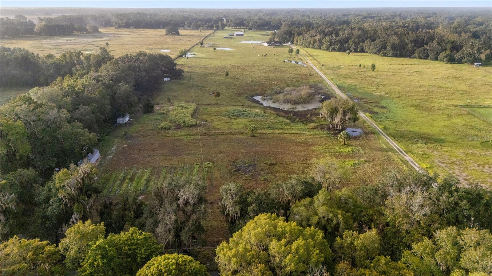 3623 CR 526, SUMTERVILLE, FL, 33585