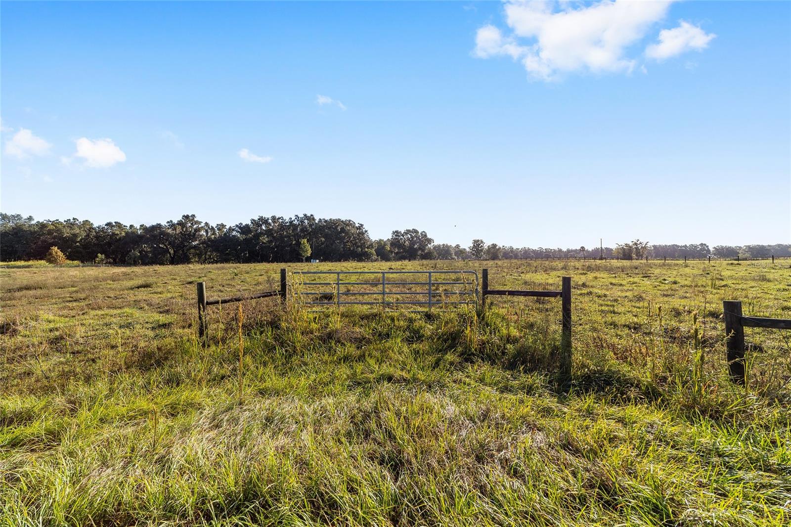 3623 CR 526, SUMTERVILLE, FL, 33585