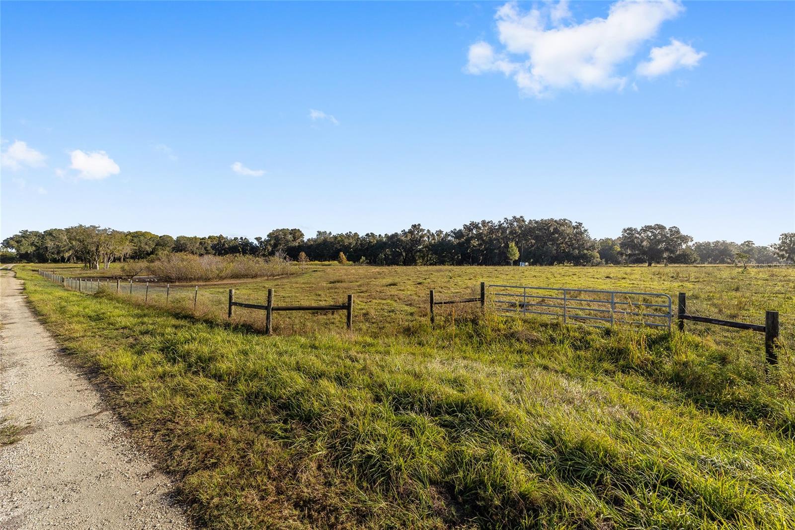 3623 CR 526, SUMTERVILLE, FL, 33585