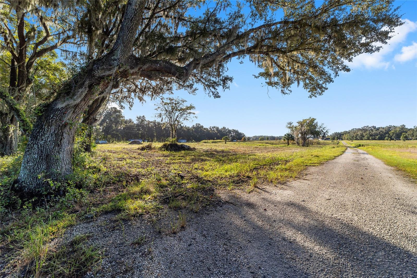 3623 CR 526, SUMTERVILLE, FL, 33585