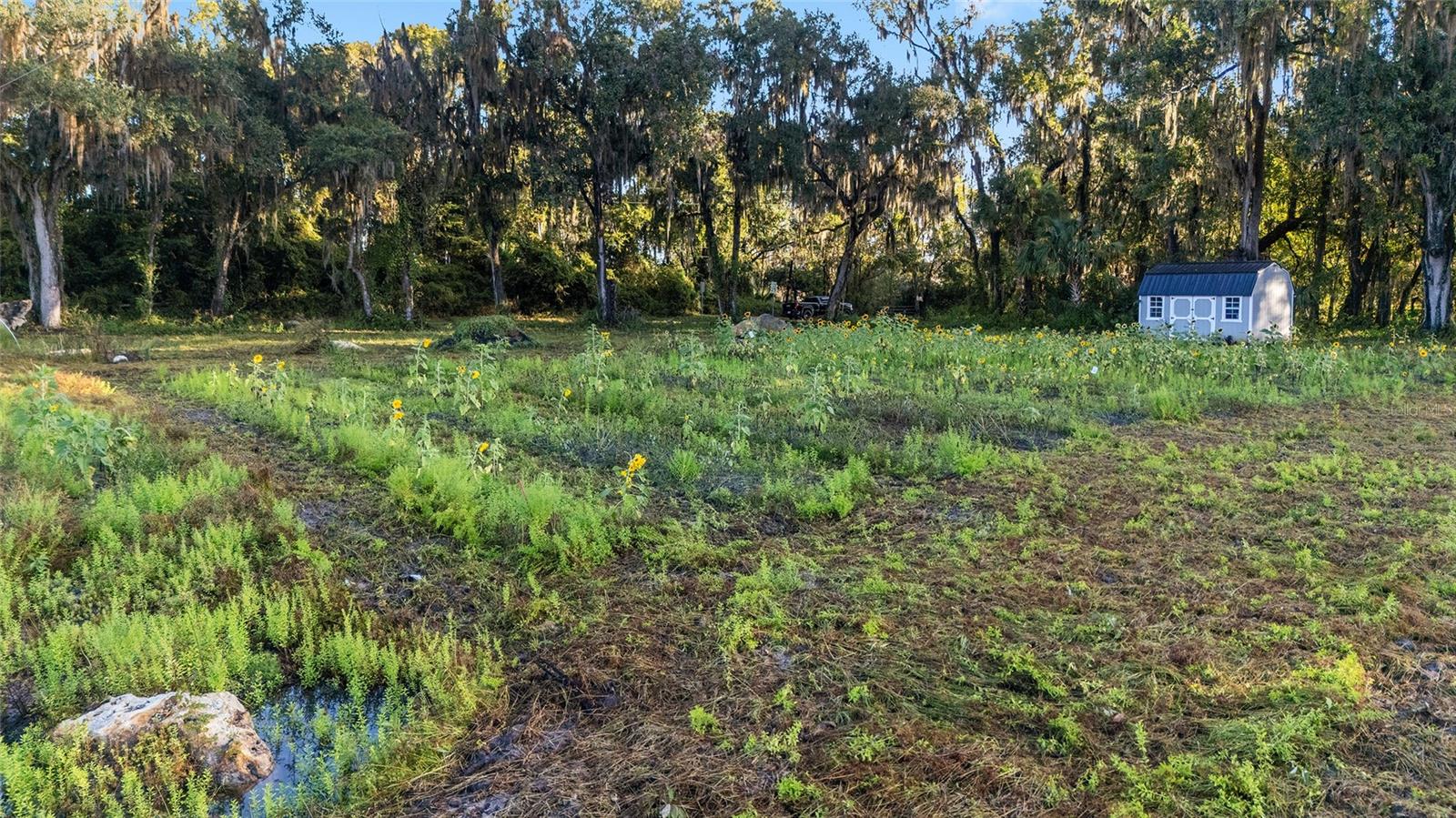 3623 CR 526, SUMTERVILLE, FL, 33585