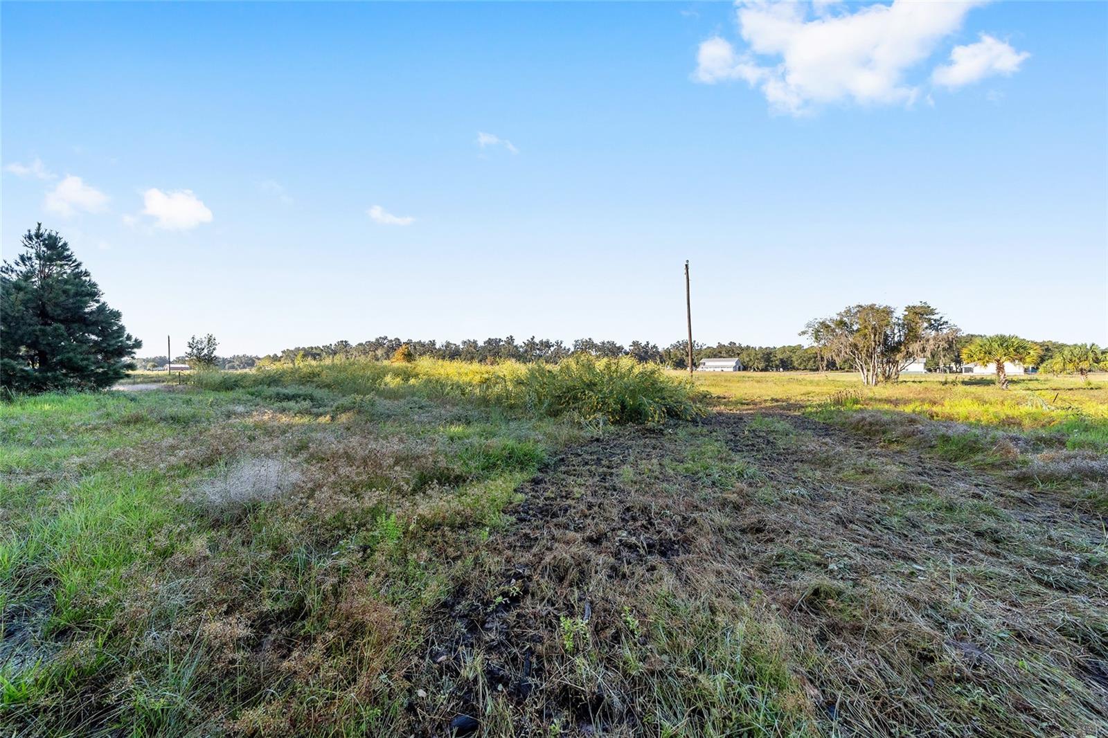 3623 CR 526, SUMTERVILLE, FL, 33585