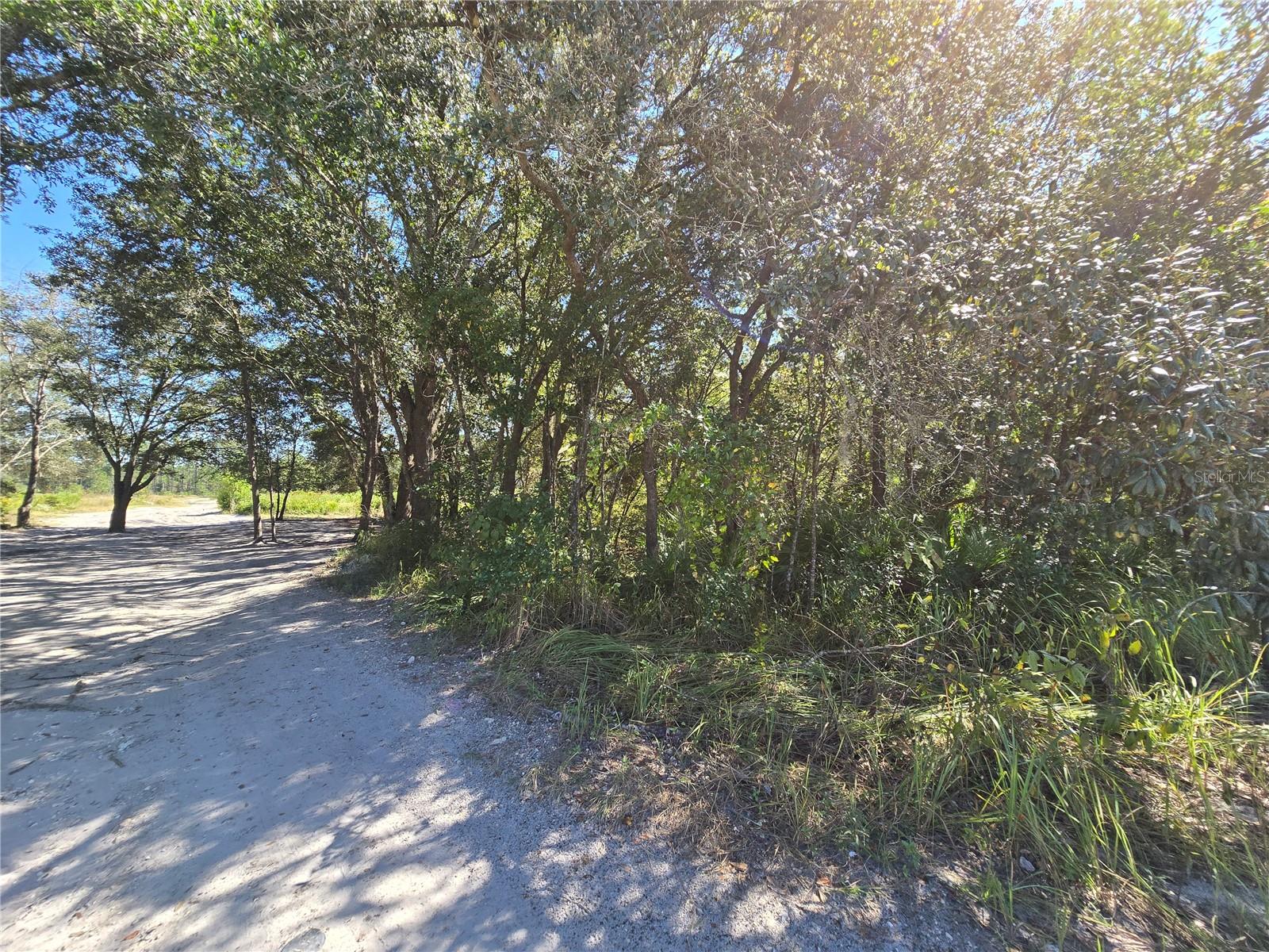 SW 150TH ST, DUNNELLON, FL, 34432